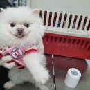 칠전서길 이미지