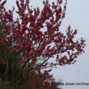 곡성-009 이미지