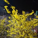 설악칡냉면 | 만년동 냉면맛집 추천(설악칡냉면 메뉴 맛 후기)