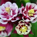 하늘정원2 이미지