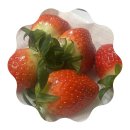 용고랑 | Goodbye, 2025