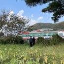 문경축산농협약돌축산물센터 | 문경새재 | 백설공주가 사랑한 문경사과축제🍎🍎(feat.오미자)
