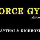 FORCE GYM(포스짐) 이미지