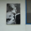호련