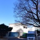 서울대학교