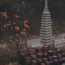 다산농원 이미지