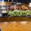 바이올독 푸드 이미지