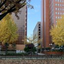 뽑기CLUB 이미지