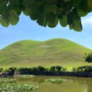 경서지구입구(42303) | • 경주 여행 : 대릉원/황리단길/향화정/우마왕 한우샌드/센트레/이제경주/황남밀면/별채탕/경주쿠키...