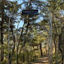 주벅배 전망대 화장실 이미지