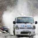 양영석농장 이미지