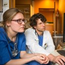 서울대학교 대동물병원 이미지