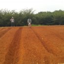 제내농장 이미지