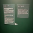 인상파, 찬란한 순간들 관람 후기1
