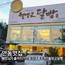 계림유통 | 안동 월영교 달빵 가격 유통기한 보관 택배 5종 크림빵 선물 내돈내산 솔직후기