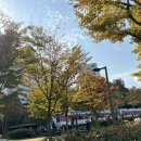 노원-공릉-3330 이미지