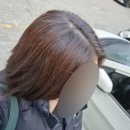 우디헤어 | 올리브영 세일템 추천, 이지엔 푸딩 헤어컬러 우디브라운 솔직후기 (추천? 비추천? 발색사진 후기)