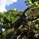 뿔들의 섬 이미지