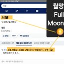 🚨래프콘 Rapcon 1단계 발령 🤔2026년 핑크문 SPRING 시즌 (Feat. 니쥬 Too Bad m/v작품 深層 解釋) 이미지