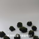 효열로 203번길 네이버블로그