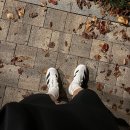 6206 | 아디다스 아디제로 EVO SL (JH6206) 에보슬 실착 후기