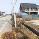 봄에새싹 이미지