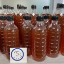 모녀젓갈 이미지