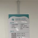 연세이충호산부인과의원 | [산본] 연세 이현진 산부인과의원 방문 후기 (질염, 균검사, 실손보험)