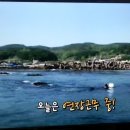 제전돌미역