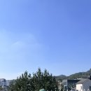 런던베이글뮤지엄 성수 네이버블로그