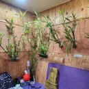 사랑의뜰안 이미지