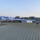 2024 대청호 벚꽃길 마라톤 대회 이미지