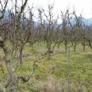 정오농장 이미지