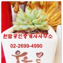 목동래미안공인중개사사무소 이미지