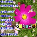 좀 어리석게 사는것도 지혜로운 삶이다. 이미지