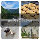 백석탄골부리체험휴양마을 | 경북여행 청송 가볼만한곳 체험휴양마을 얼음골권역