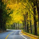 문경예송원 이미지