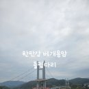 아우라지 베개용암 탐방안내소 | 연천 율무축제 임시개장 [한탄강 아우라지 베개용암 출렁다리]