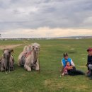 몽골민박 이미지