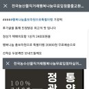 정통광양기정떡