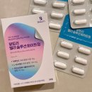 엘루션 | 뷰트리멜라솔루션화이트정 기미완화제 여름 이너뷰티