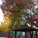 천내초등 이미지