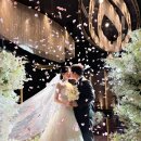 연제구-149 | [코모도모먼트] 부산 다비다 웨딩홀 촬영후기 | comodo moment | 부산아이폰스냅