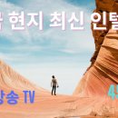 라나