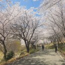 공설운동장길(공설운동장) 이미지