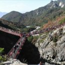 가조힐링랜드 이미지