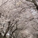 기안초교 이미지