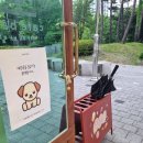 카페바카 이미지