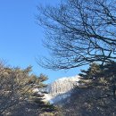 하원동-3 | 제주도 겨울철 윗세오름 산행 후기(feat 윗세오름 주차장, 필수물품)