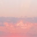 무위자연-태양 이미지